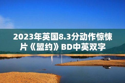 2023年英国8.3分动作惊悚片《盟约》BD中英双字