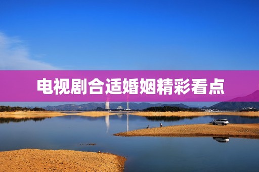 电视剧合适婚姻精彩看点