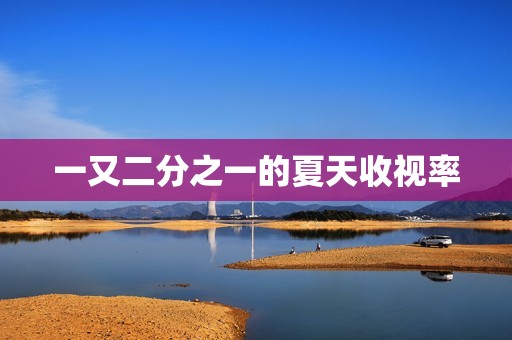 一又二分之一的夏天收视率