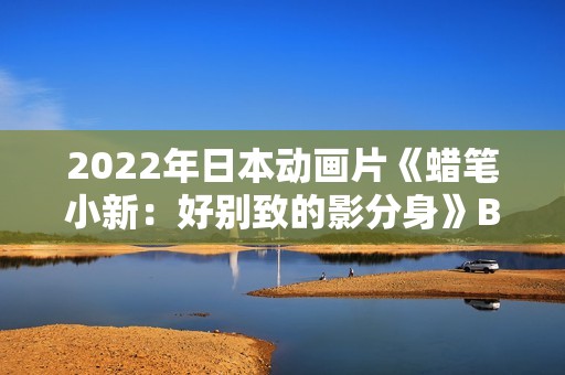 2022年日本动画片《蜡笔小新：好别致的影分身》BD双语中字