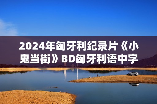 2024年匈牙利纪录片《小鬼当街》BD匈牙利语中字
