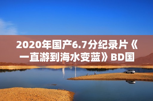 2020年国产6.7分纪录片《一直游到海水变蓝》BD国语中字