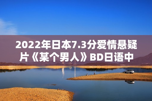 2022年日本7.3分爱情悬疑片《某个男人》BD日语中字