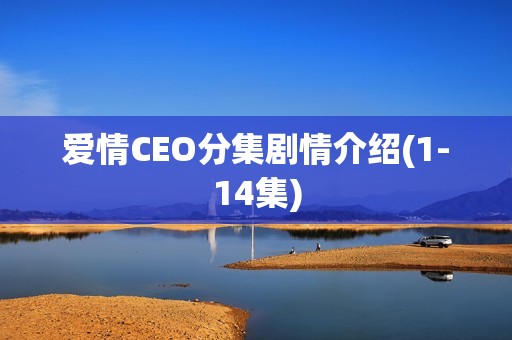 爱情CEO分集剧情介绍(1-14集)