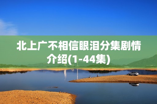 北上广不相信眼泪分集剧情介绍(1-44集)