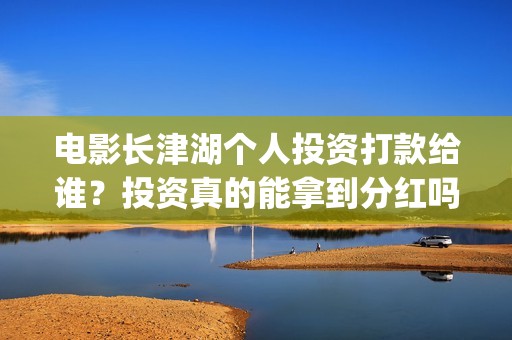 电影长津湖个人投资打款给谁？投资真的能拿到分红吗？(电影长津湖的演员)