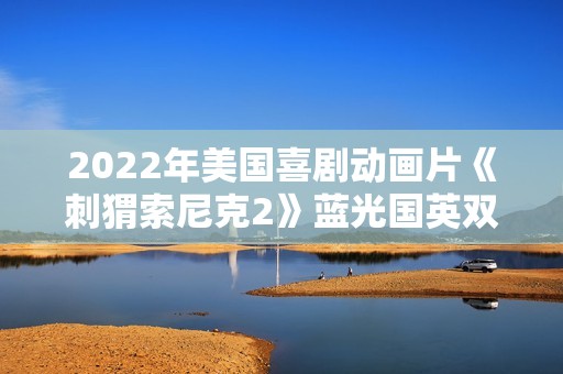 2022年美国喜剧动画片《刺猬索尼克2》蓝光国英双语中英双字
