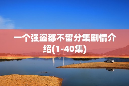 一个强盗都不留分集剧情介绍(1-40集)