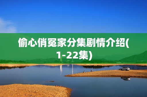 偷心俏冤家分集剧情介绍(1-22集)