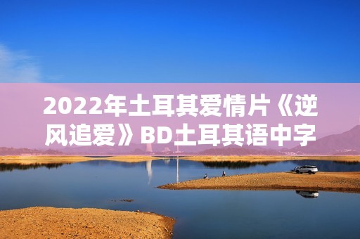 2022年土耳其爱情片《逆风追爱》BD土耳其语中字