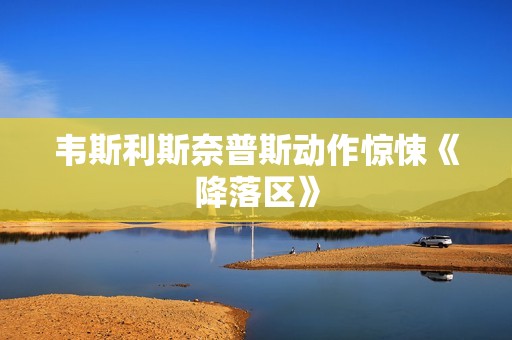 韦斯利斯奈普斯动作惊悚《降落区》