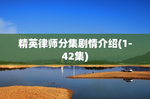 精英律师分集剧情介绍(1-42集)