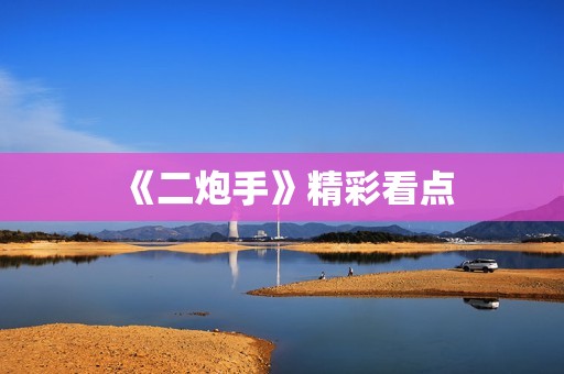 《二炮手》精彩看点