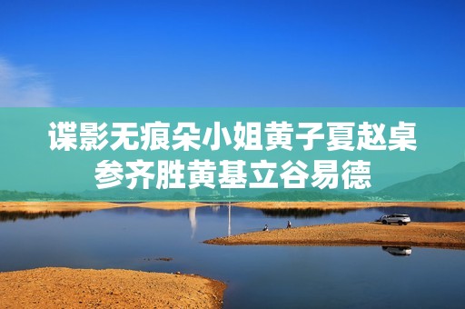谍影无痕朵小姐黄子夏赵桌参齐胜黄基立谷易德