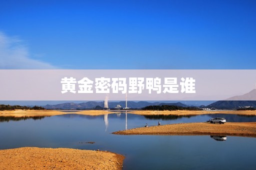 黄金密码野鸭是谁