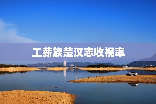工薪族楚汉志收视率