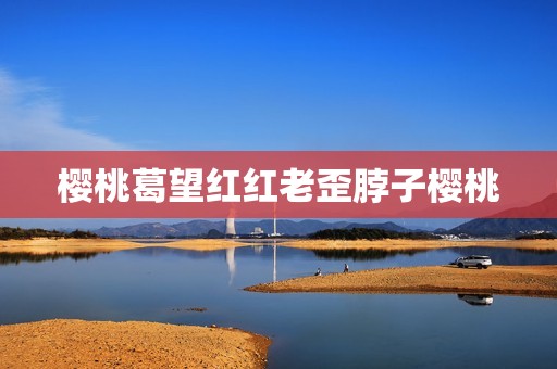 樱桃葛望红红老歪脖子樱桃