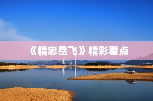 《精忠岳飞》精彩看点