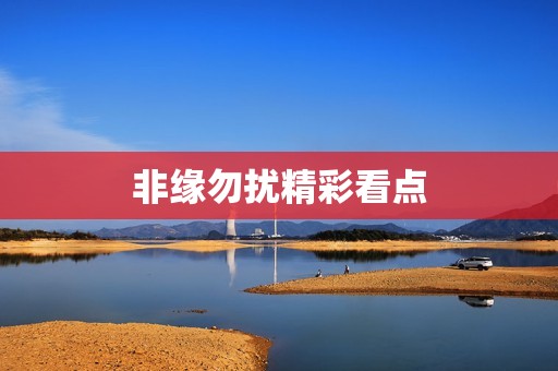 非缘勿扰精彩看点