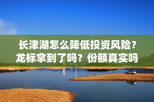 长津湖怎么降低投资风险？龙标拿到了吗？份额真实吗？(长津湖 太长了)