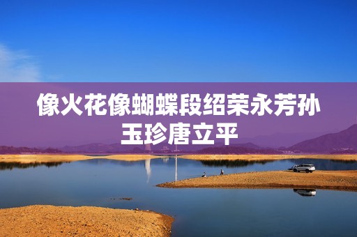 像火花像蝴蝶段绍荣永芳孙玉珍唐立平