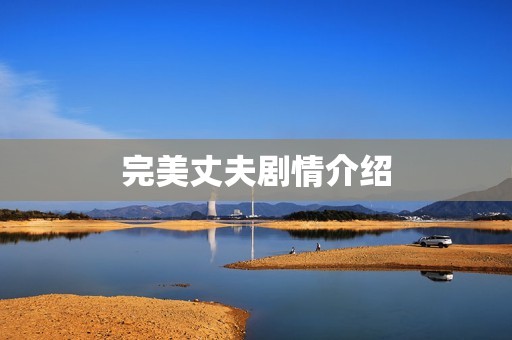 完美丈夫剧情介绍
