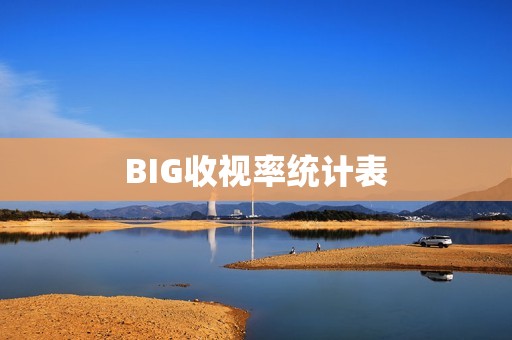 BIG收视率统计表