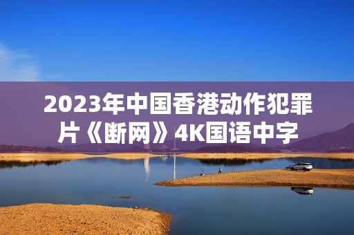 2023年中国香港动作犯罪片《断网》4K国语中字