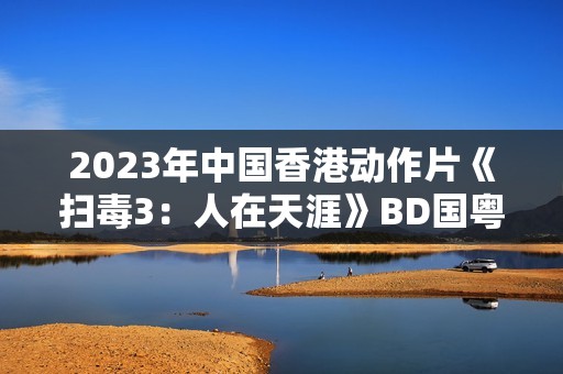 2023年中国香港动作片《扫毒3：人在天涯》BD国粤双语中字