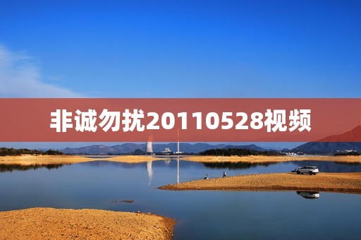非诚勿扰20110528视频