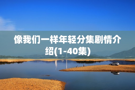 像我们一样年轻分集剧情介绍(1-40集)