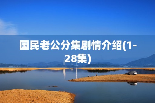 国民老公分集剧情介绍(1-28集)