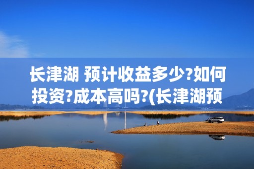 长津湖 预计收益多少?如何投资?成本高吗?(长津湖预期)