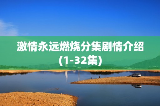 激情永远燃烧分集剧情介绍(1-32集)