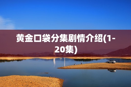 黄金口袋分集剧情介绍(1-20集)