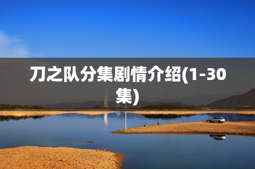 刀之队分集剧情介绍(1-30集)