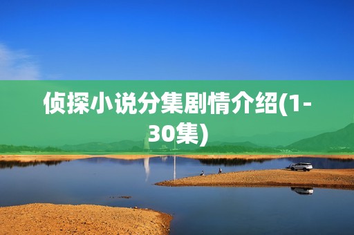 侦探小说分集剧情介绍(1-30集)