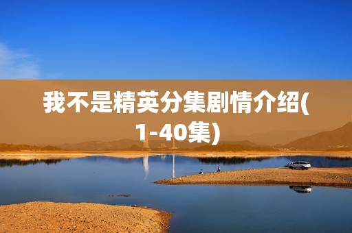 我不是精英分集剧情介绍(1-40集)