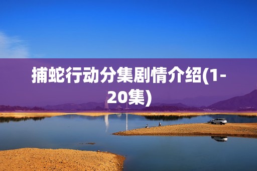 捕蛇行动分集剧情介绍(1-20集)