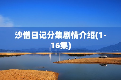沙僧日记分集剧情介绍(1-16集)