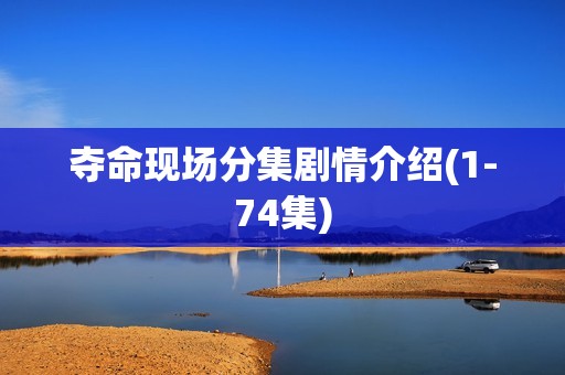 夺命现场分集剧情介绍(1-74集)