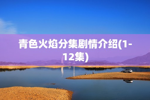 青色火焰分集剧情介绍(1-12集)