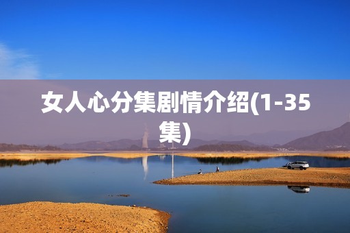 女人心分集剧情介绍(1-35集)