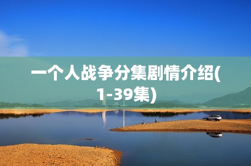 一个人战争分集剧情介绍(1-39集)