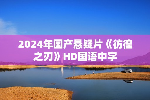 2024年国产悬疑片《彷徨之刃》HD国语中字