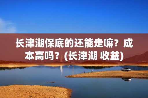 长津湖保底的还能走嘛？成本高吗？(长津湖 收益)