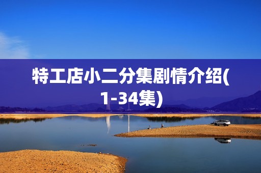 特工店小二分集剧情介绍(1-34集)