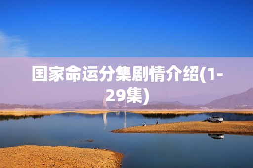 国家命运分集剧情介绍(1-29集)