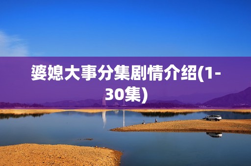 婆媳大事分集剧情介绍(1-30集)