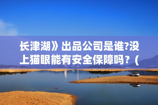 长津湖》出品公司是谁?没上猫眼能有安全保障吗？(长津湖的出品人)